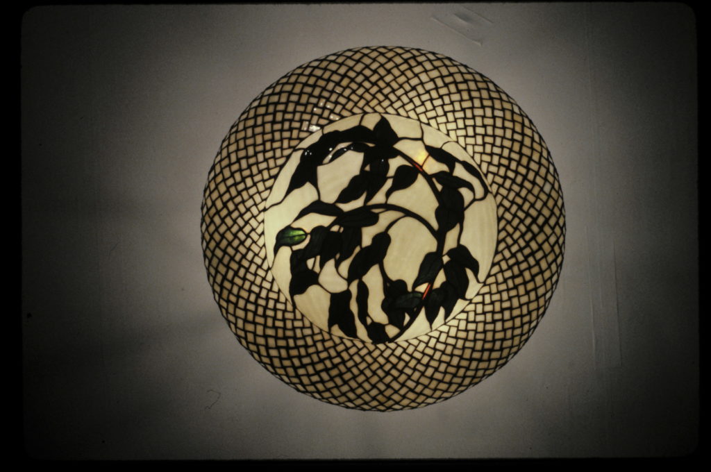 The woven Ficus 1978